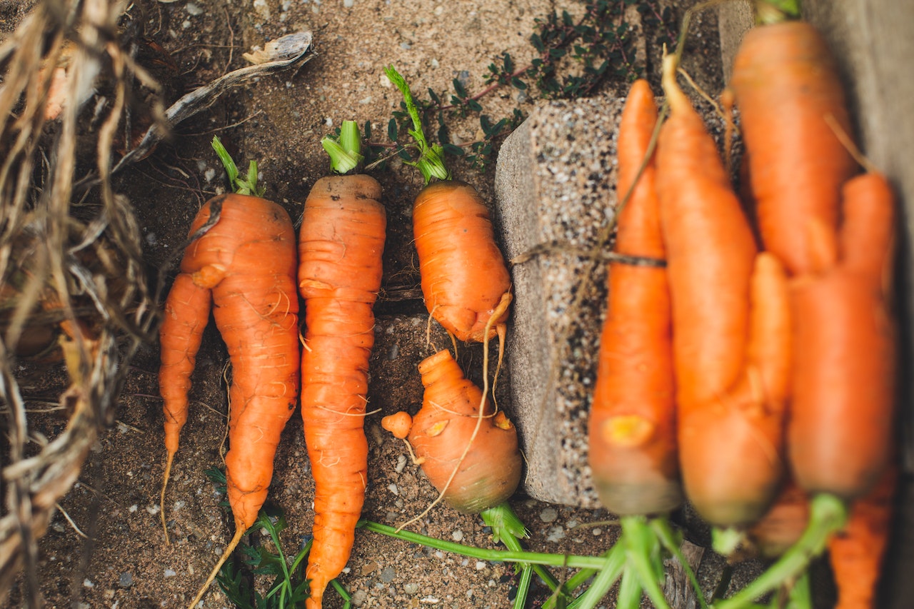 Visezi morcovi – Sensul și interpretarea visului